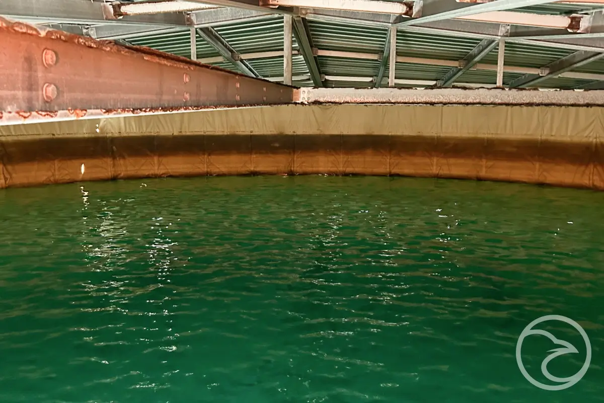 Corrosion patches developing due to stagnation on internal tank surfaces