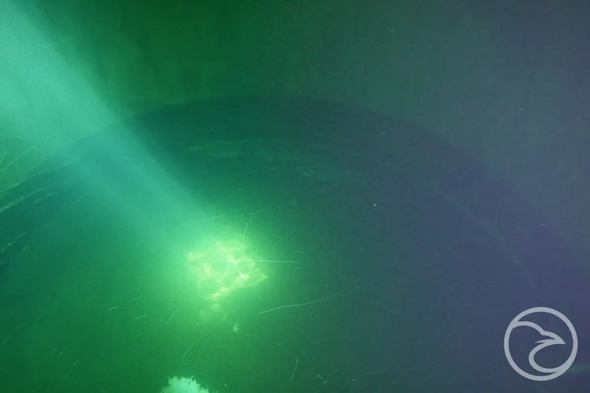 Underwater robotic inspection device inside storage tank