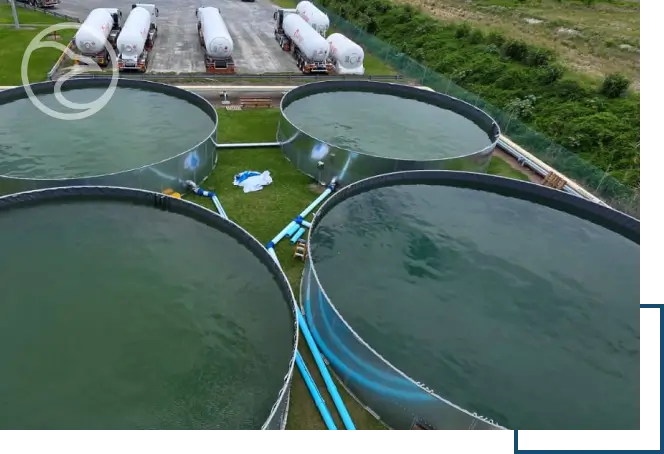 Water tank maintenance